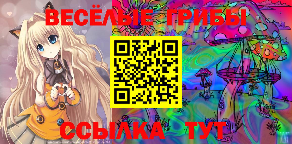 Псилоцибиновые грибы мицелий Ишимбай
