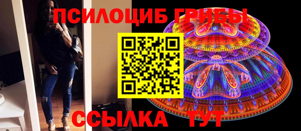 Ишимбай  Галлюциногенные грибы мицелий  Вход с VPN 